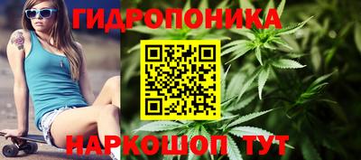 хмурый Новозыбков