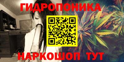 хмурый Новозыбков