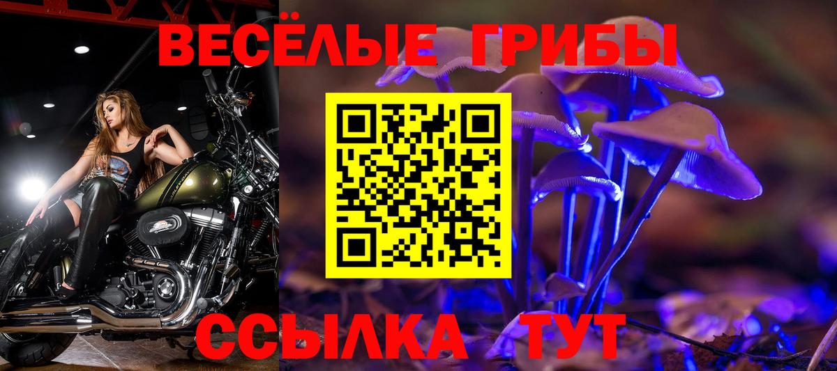 Галлюциногенные грибы мухоморы  Галлюциногенные грибы GOLDEN TEACHER  Вход с VPN  купить закладку  Ачхой-Мартан 